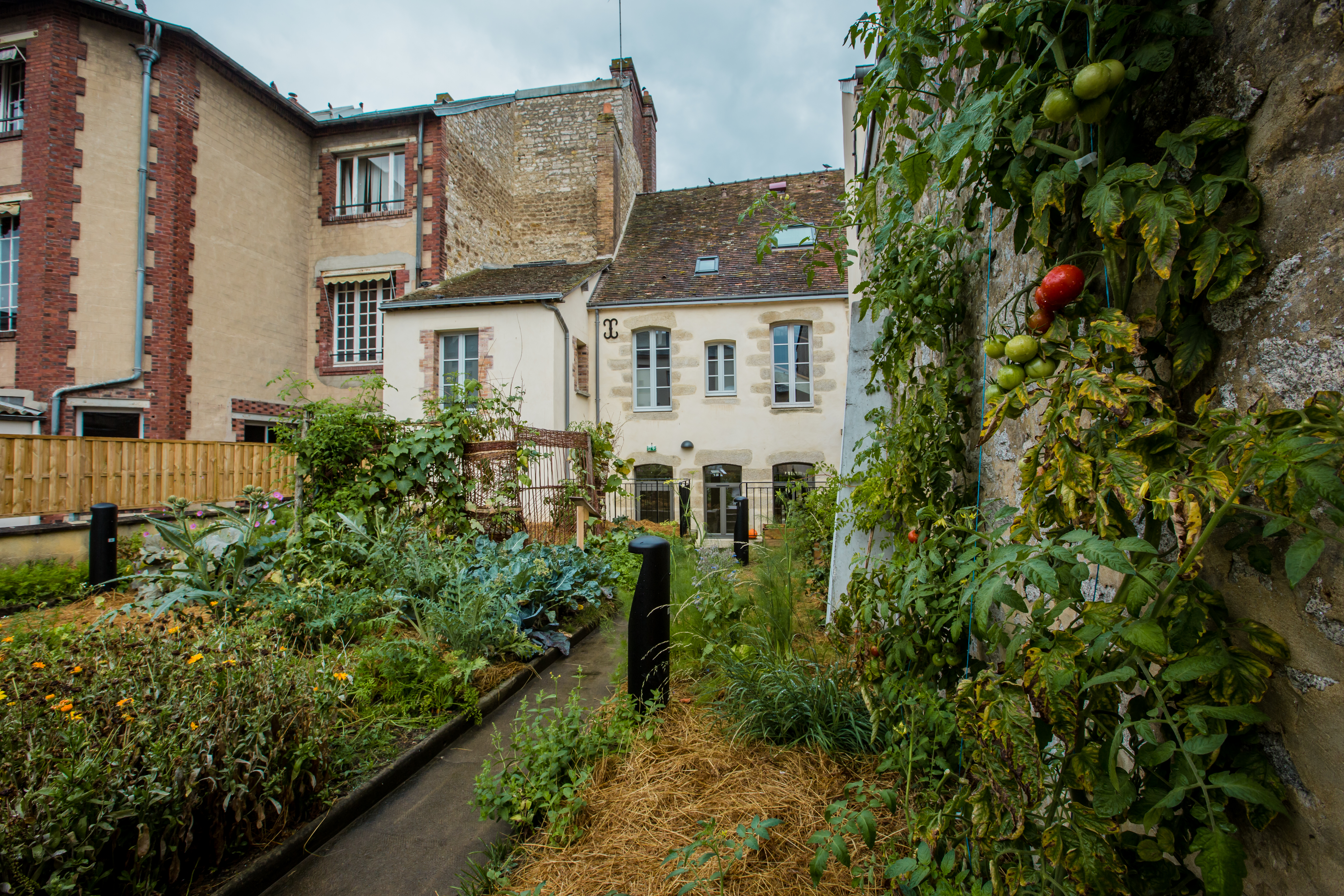 Potager en permaculture
