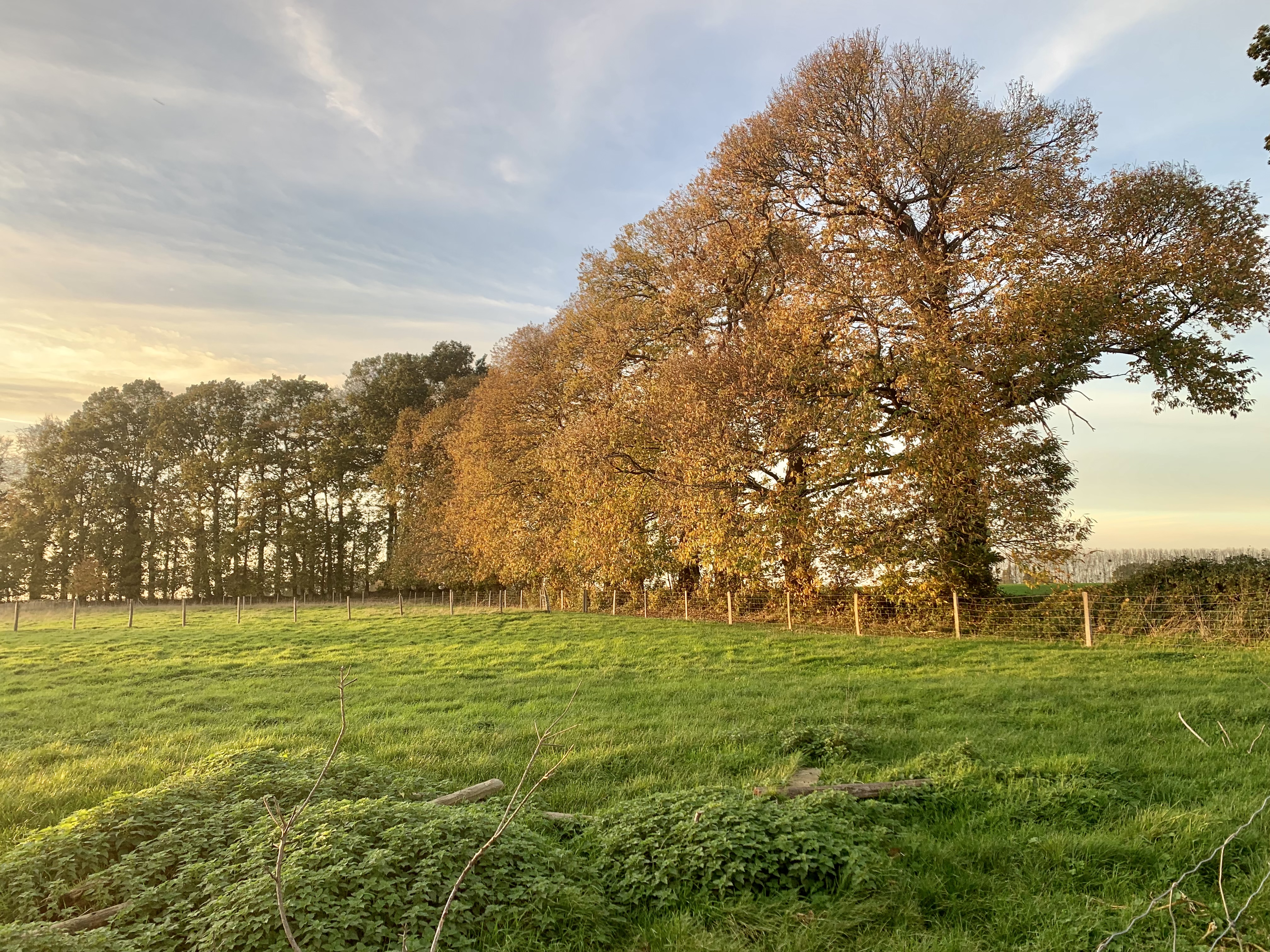 Majestueux clos-masure