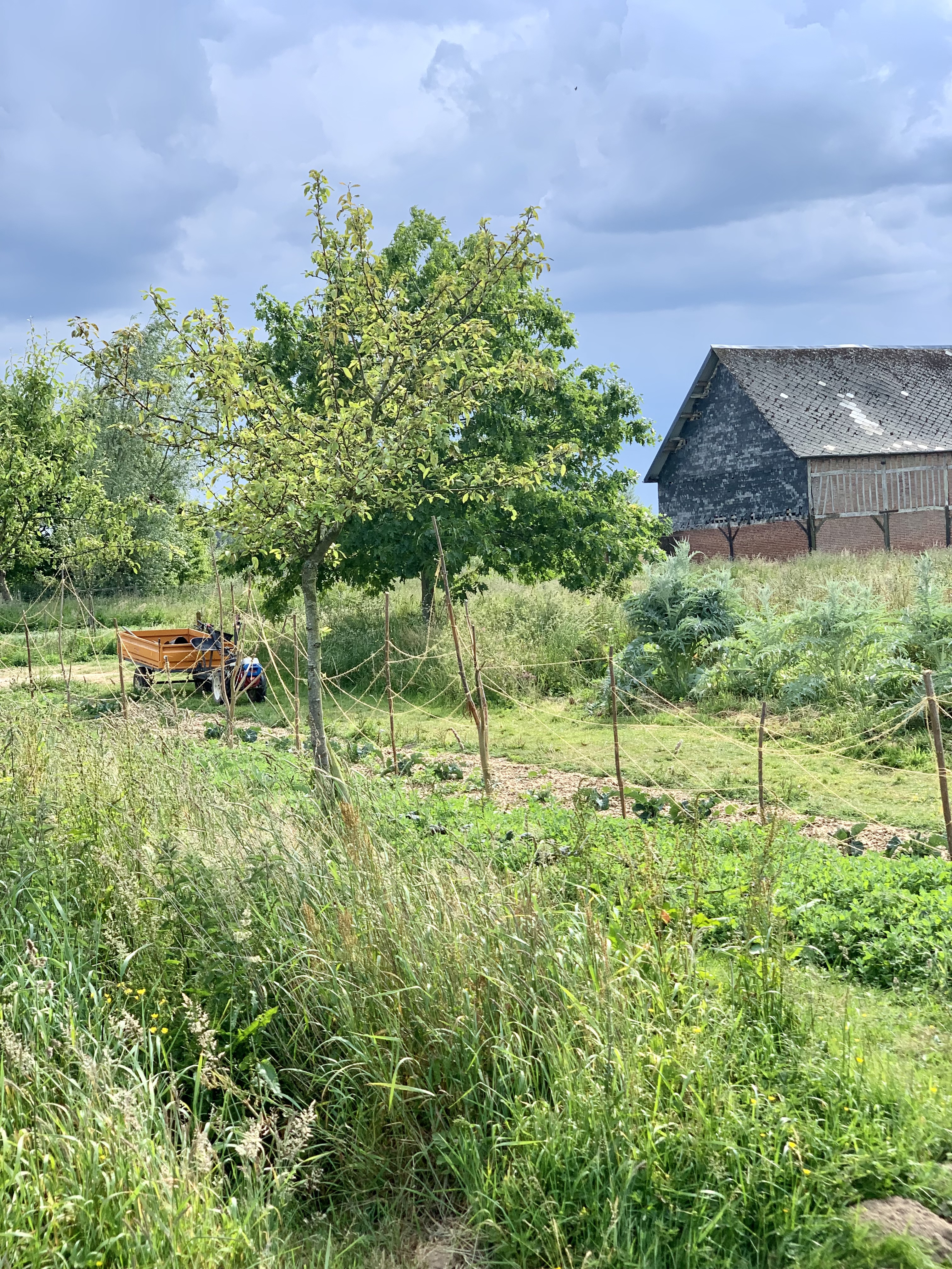 Tiers-lieu nourricier