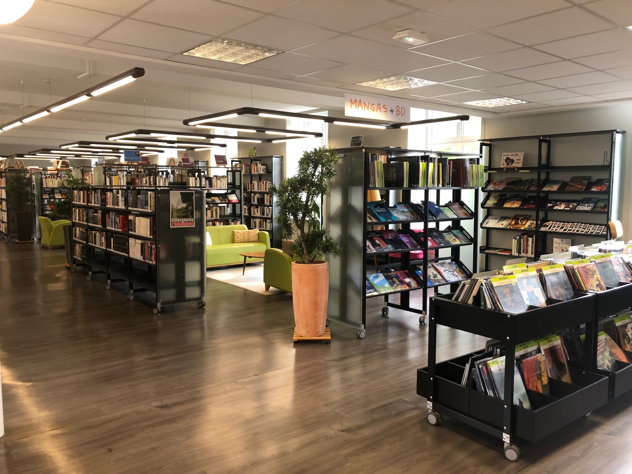 Espace adultes de la médiathèque Aveline comprenant des étagères de livres et de bandes dessinées et des canapés.